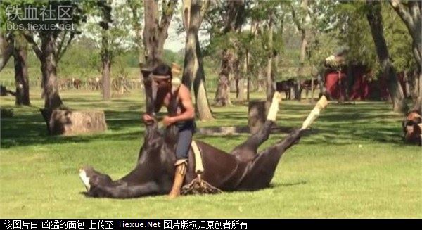 奇葩驯马术：男子与马同做瑜伽（图）