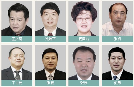 中央反腐问题汇总：落马官员名单照片