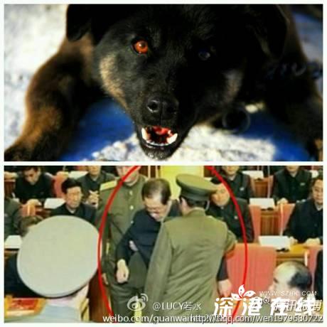 金正恩处决张成泽犬刑图片