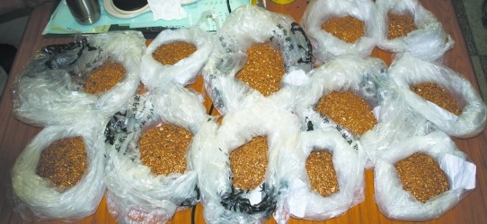 失主家中42斤黄金被盗