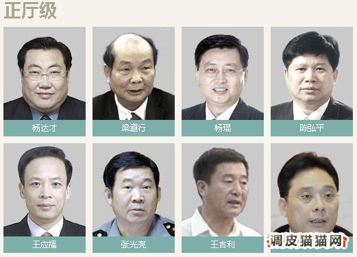 2014年调查部级官员	2014年反腐省部级官员