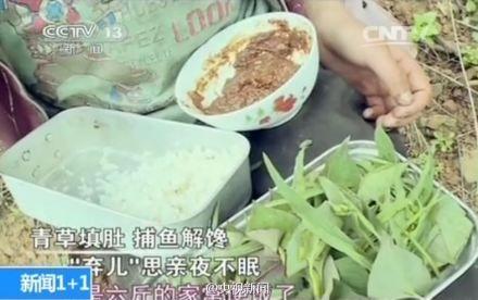 广西孤儿杨六斤视频 广西卫视杨六斤视频吃野菜的杨六斤视频