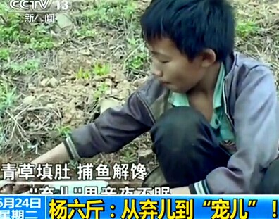 吃野菜的杨六斤视频 广西杨六斤视频【吃野菜的杨六斤视频】