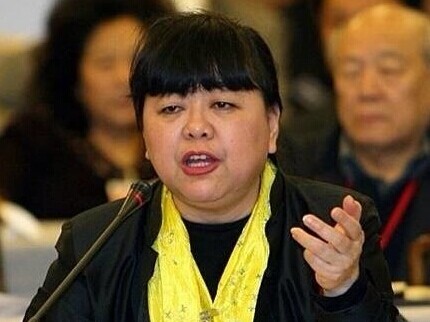 全国政协委员王平被骂