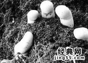甘肃男子活埋女子事件现场图 甘肃女子被活埋事件最新消息