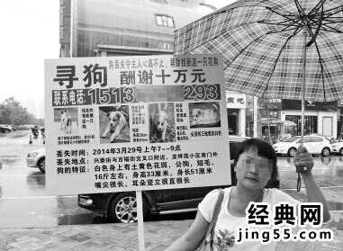 杭州姑娘10万悬赏寻狗（图）