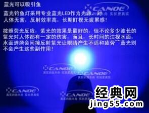 自制蓝光夜钓灯图  
