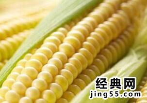 转基因玉米的鉴别图片 如何辨别转基因玉米的鉴别图片【图解】