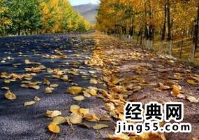 人生有时候需要停下来休息