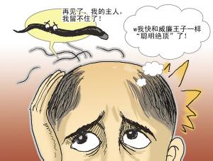 头发经常掉是怎么回事？常哪些食物引起头发脱落